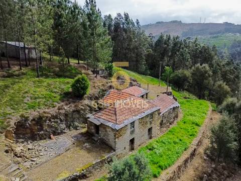 Moradia Devoluta T2 Venda em Real,Castelo de Paiva