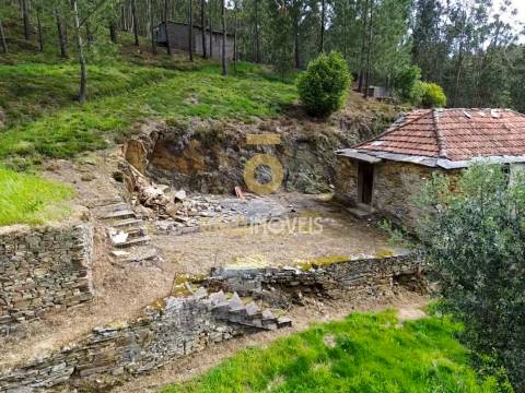 Moradia Devoluta T2 Venda em Real,Castelo de Paiva