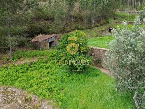 Moradia Devoluta T2 Venda em Real,Castelo de Paiva