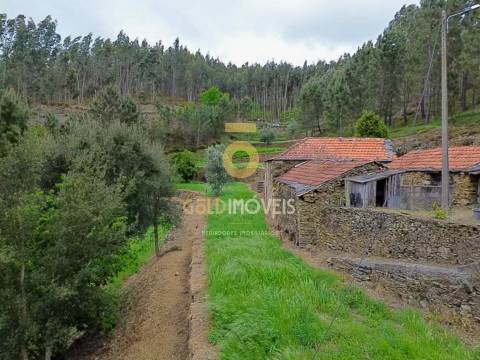Moradia Devoluta T2 Venda em Real,Castelo de Paiva