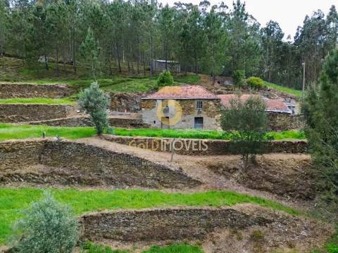 Moradia Devoluta T2 Venda em Real,Castelo de Paiva