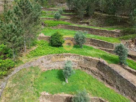 Moradia Devoluta T2 Venda em Real,Castelo de Paiva