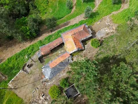 Moradia Devoluta T2 Venda em Real,Castelo de Paiva
