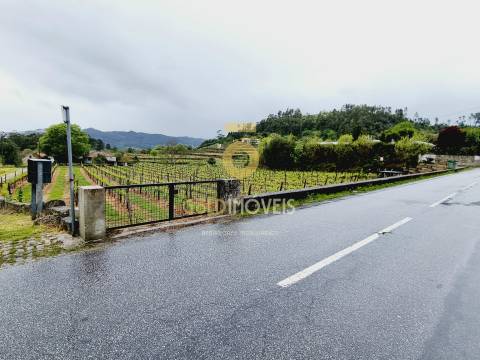 Terreno  Venda em Salvador do Monte,Amarante
