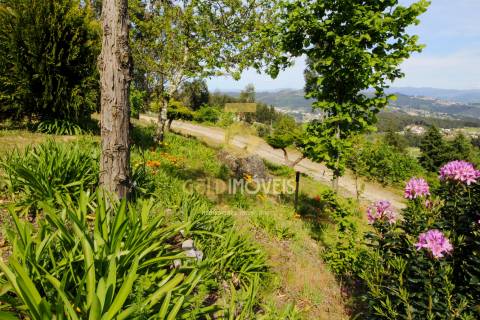 Terreno Para Construção  Venda em Recezinhos (São Mamede),Penafiel