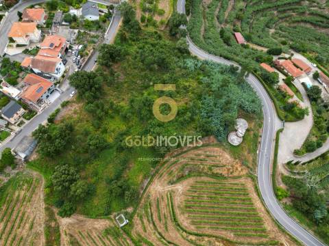 Terreno  Venda em São Martinho de Sardoura,Castelo de Paiva