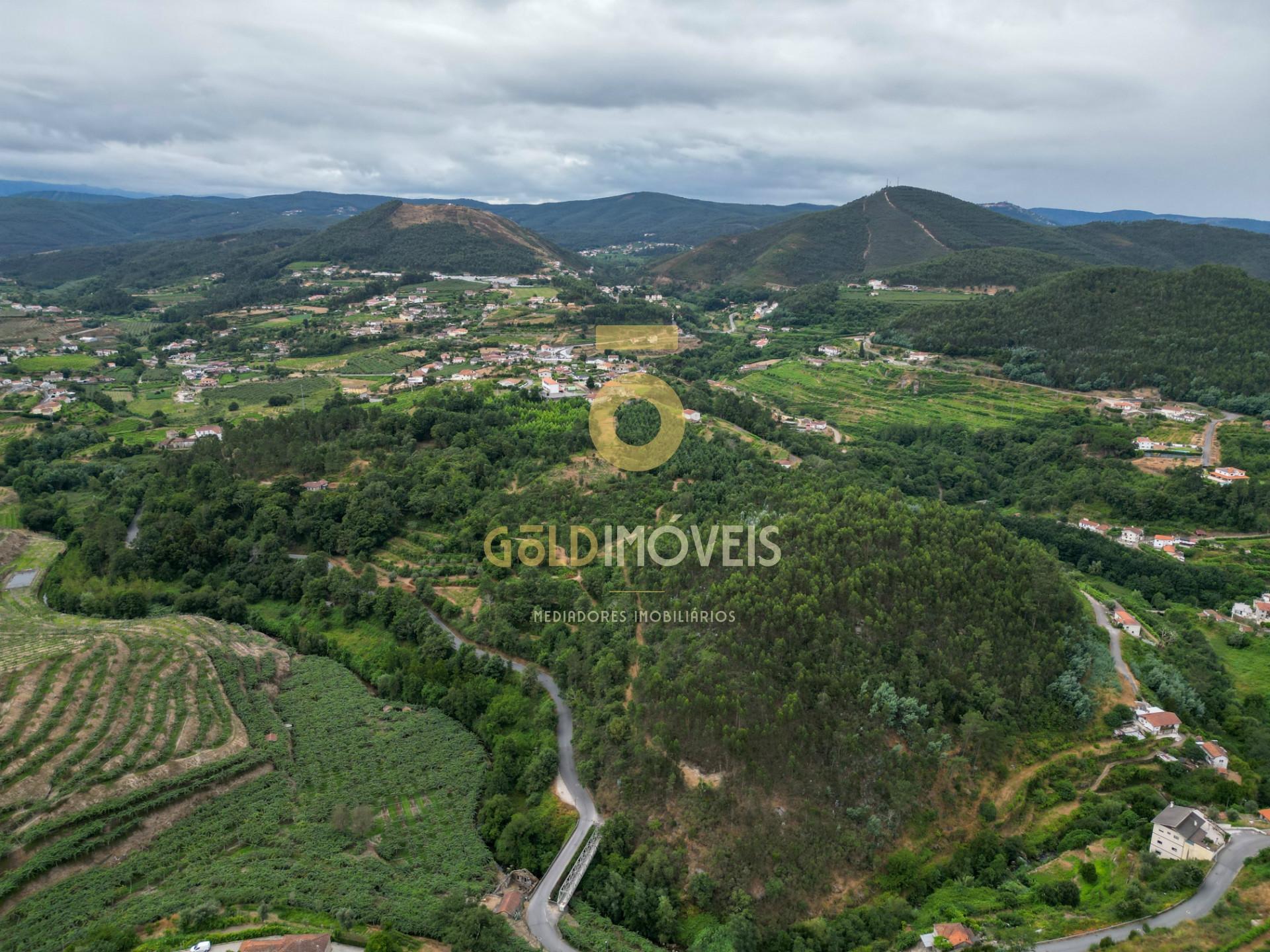 Terreno  Venda em São Martinho de Sardoura,Castelo de Paiva