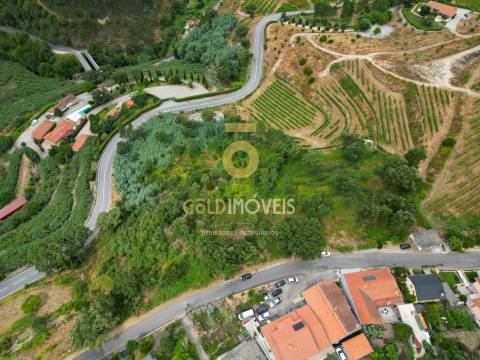 Terreno  Venda em São Martinho de Sardoura,Castelo de Paiva