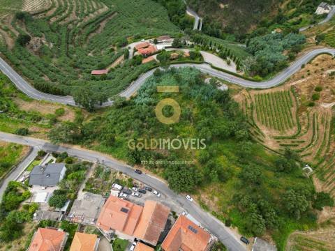 Terreno  Venda em São Martinho de Sardoura,Castelo de Paiva