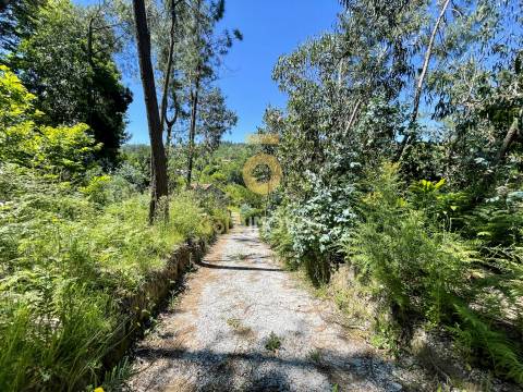 Terreno Rústico  Venda em Santiago de Piães,Cinfães