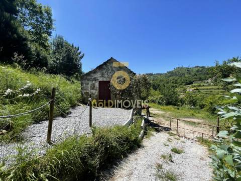 Terreno Rústico  Venda em Santiago de Piães,Cinfães