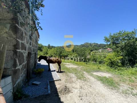 Terreno Rústico  Venda em Santiago de Piães,Cinfães