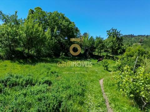 Terreno Rústico  Venda em Santiago de Piães,Cinfães