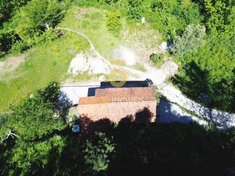 Terreno Rústico  Venda em Santiago de Piães,Cinfães