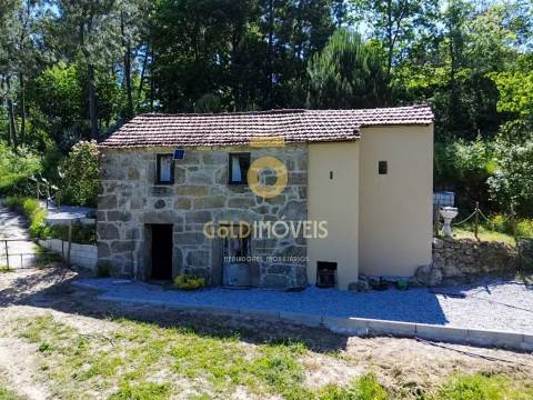 Terreno Rústico  Venda em Santiago de Piães,Cinfães