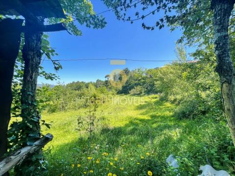 Terreno Rústico  Venda em Santiago de Piães,Cinfães