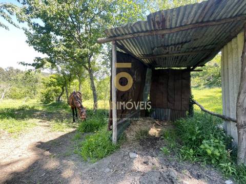 Terreno Rústico  Venda em Santiago de Piães,Cinfães