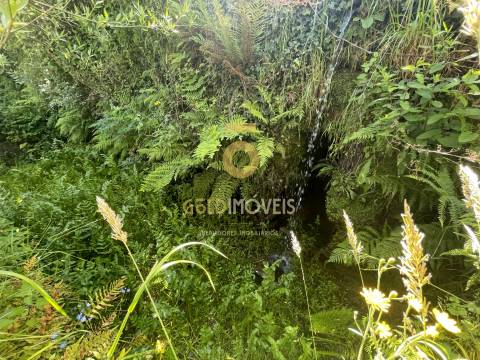 Terreno Rústico  Venda em Santiago de Piães,Cinfães