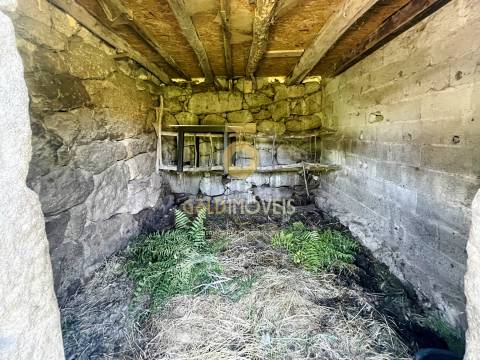 Terreno Rústico  Venda em Santiago de Piães,Cinfães