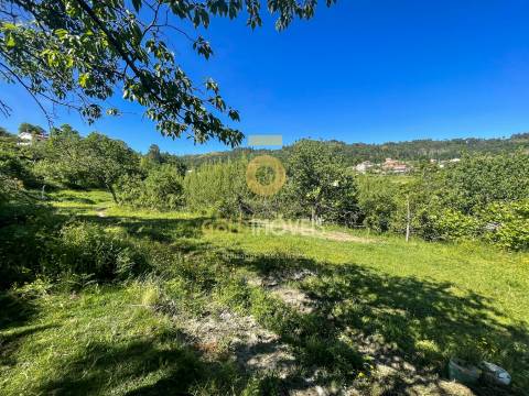 Terreno Rústico  Venda em Santiago de Piães,Cinfães
