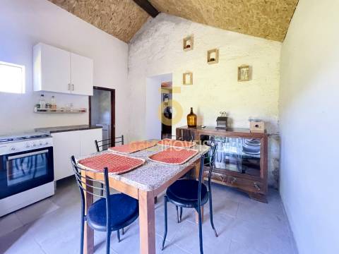 Terreno Rústico  Venda em Santiago de Piães,Cinfães