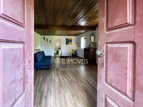 Terreno Rústico  Venda em Santiago de Piães,Cinfães