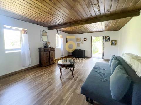 Terreno Rústico  Venda em Santiago de Piães,Cinfães