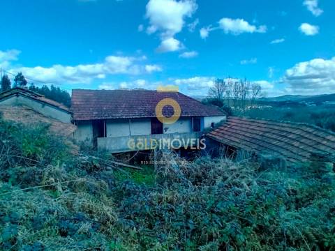 Quintinha T3 Venda em Santa Maria de Sardoura,Castelo de Paiva