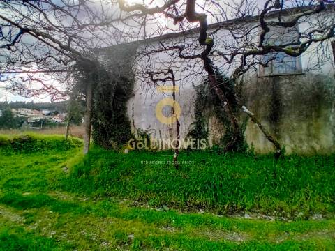 Quintinha T3 Venda em Santa Maria de Sardoura,Castelo de Paiva