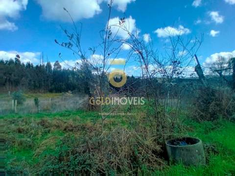 Quintinha T3 Venda em Santa Maria de Sardoura,Castelo de Paiva