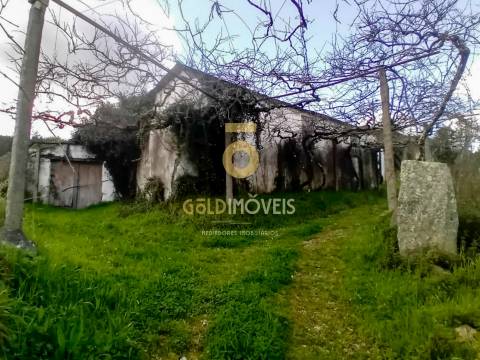 Quintinha T3 Venda em Santa Maria de Sardoura,Castelo de Paiva