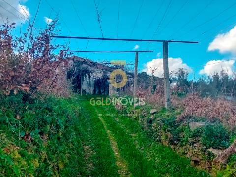 Quintinha T3 Venda em Santa Maria de Sardoura,Castelo de Paiva