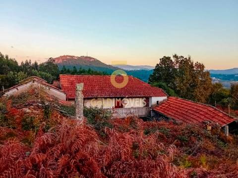Quintinha T3 Venda em Santa Maria de Sardoura,Castelo de Paiva