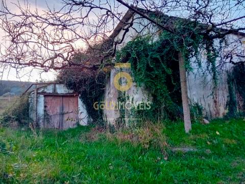 Quintinha T3 Venda em Santa Maria de Sardoura,Castelo de Paiva