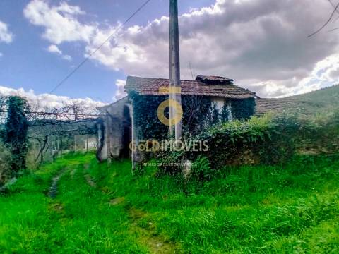 Quintinha T3 Venda em Santa Maria de Sardoura,Castelo de Paiva