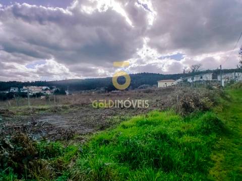 Quintinha T3 Venda em Santa Maria de Sardoura,Castelo de Paiva