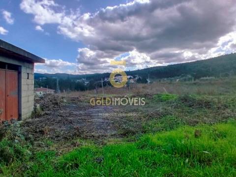 Quintinha T3 Venda em Santa Maria de Sardoura,Castelo de Paiva