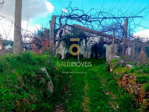 Quintinha T3 Venda em Santa Maria de Sardoura,Castelo de Paiva