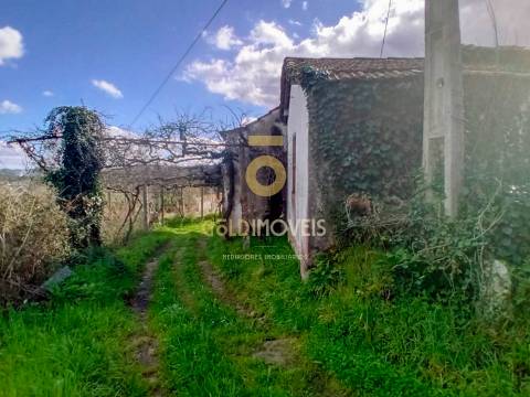 Quintinha T3 Venda em Santa Maria de Sardoura,Castelo de Paiva