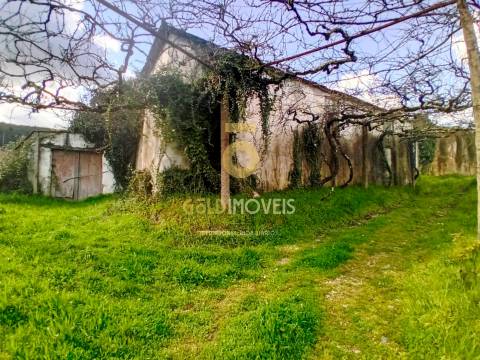 Quintinha T3 Venda em Santa Maria de Sardoura,Castelo de Paiva