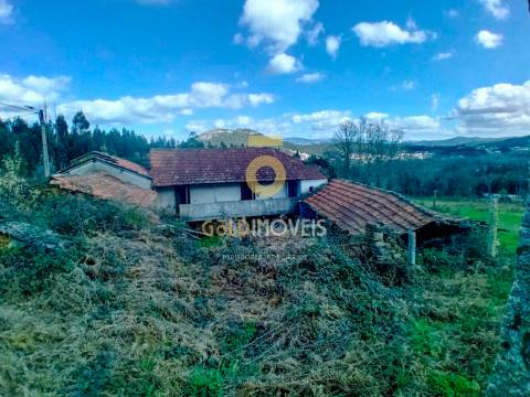 Quintinha T3 Venda em Santa Maria de Sardoura,Castelo de Paiva