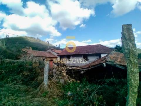 Quintinha T3 Venda em Santa Maria de Sardoura,Castelo de Paiva