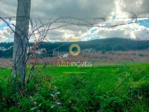 Quintinha T3 Venda em Santa Maria de Sardoura,Castelo de Paiva
