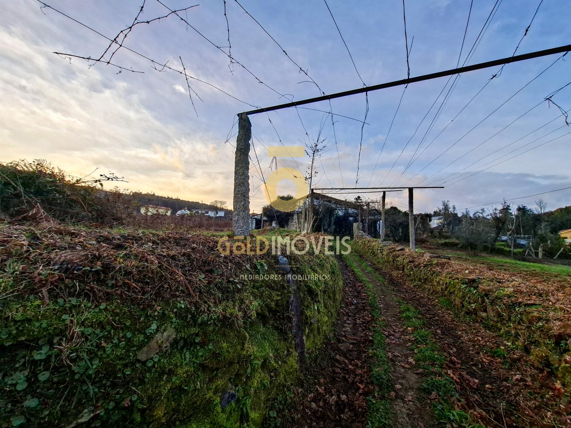 Quintinha T3 Venda em Santa Maria de Sardoura,Castelo de Paiva