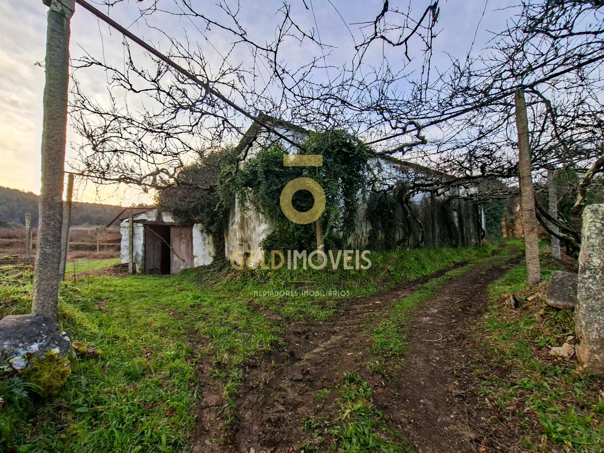 Quintinha T3 Venda em Santa Maria de Sardoura,Castelo de Paiva