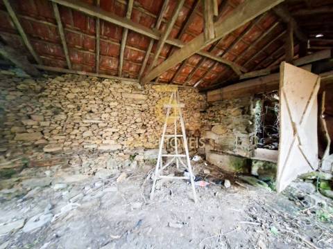 Quintinha T3 Venda em Santa Maria de Sardoura,Castelo de Paiva