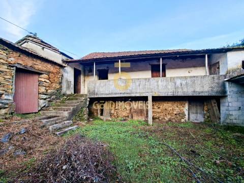 Quintinha T3 Venda em Santa Maria de Sardoura,Castelo de Paiva