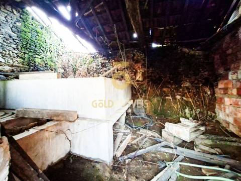 Quintinha T3 Venda em Santa Maria de Sardoura,Castelo de Paiva