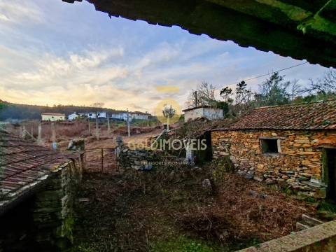 Quintinha T3 Venda em Santa Maria de Sardoura,Castelo de Paiva