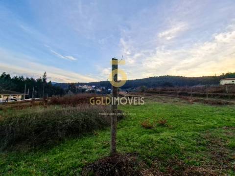 Quintinha T3 Venda em Santa Maria de Sardoura,Castelo de Paiva